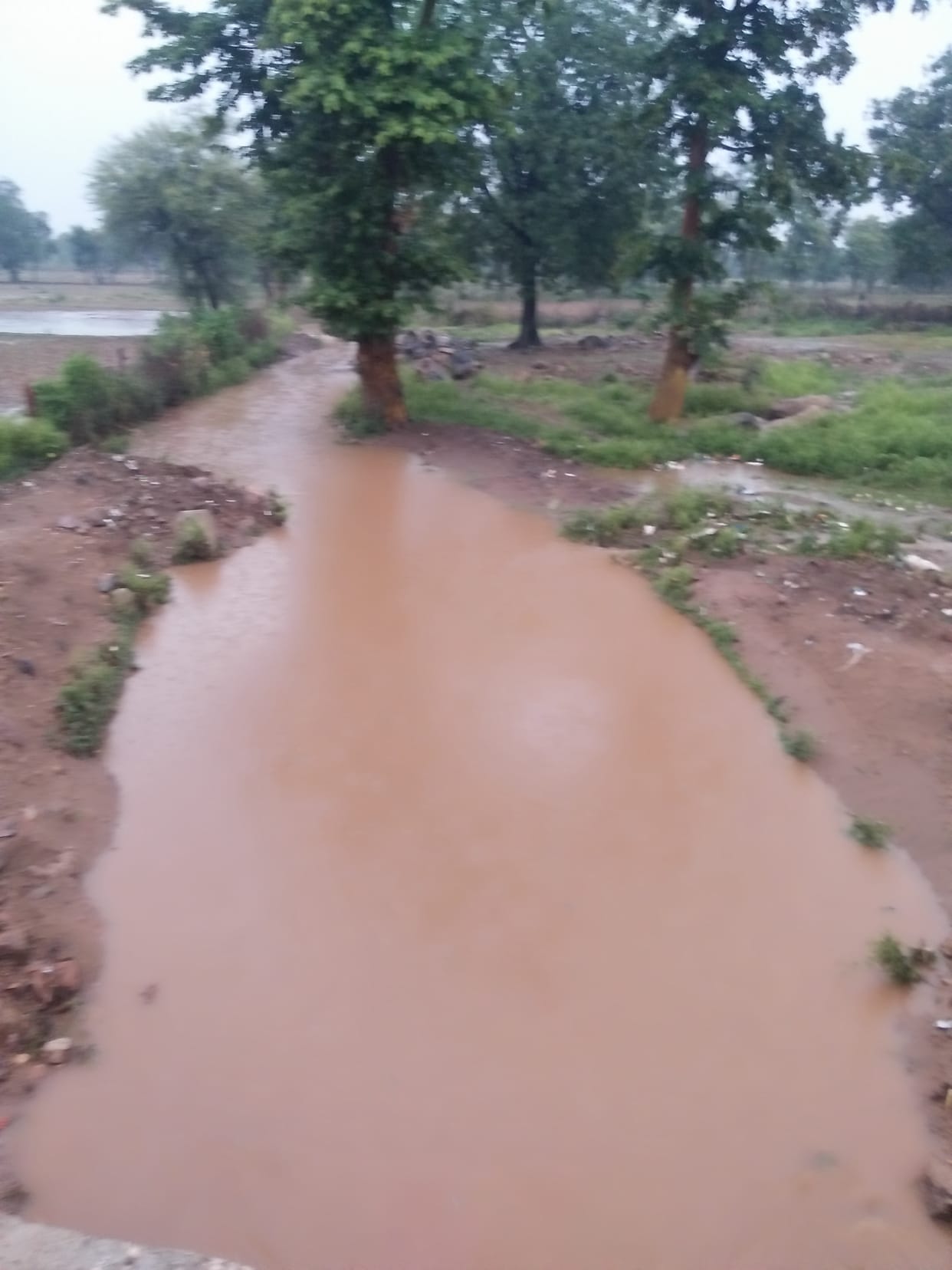 farmers happy, monsoon rain