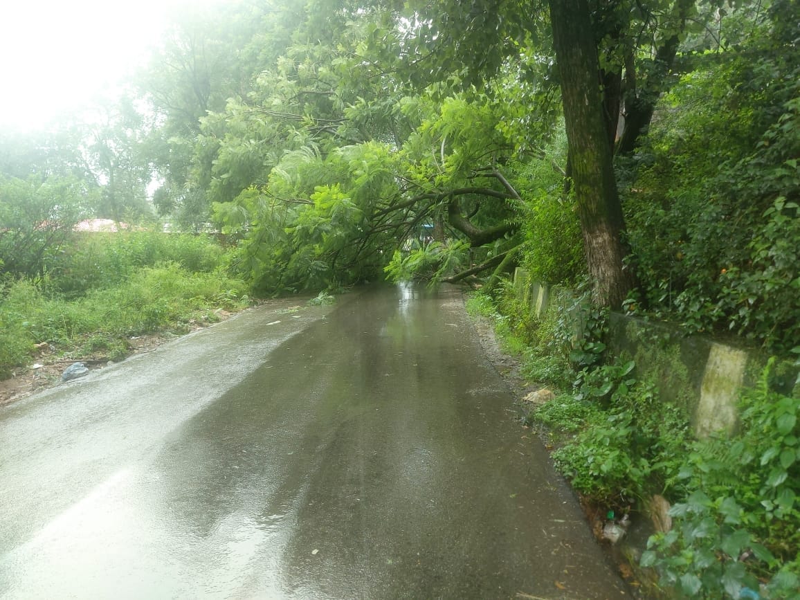 Rain havoc: 45 roads closed in Kangra