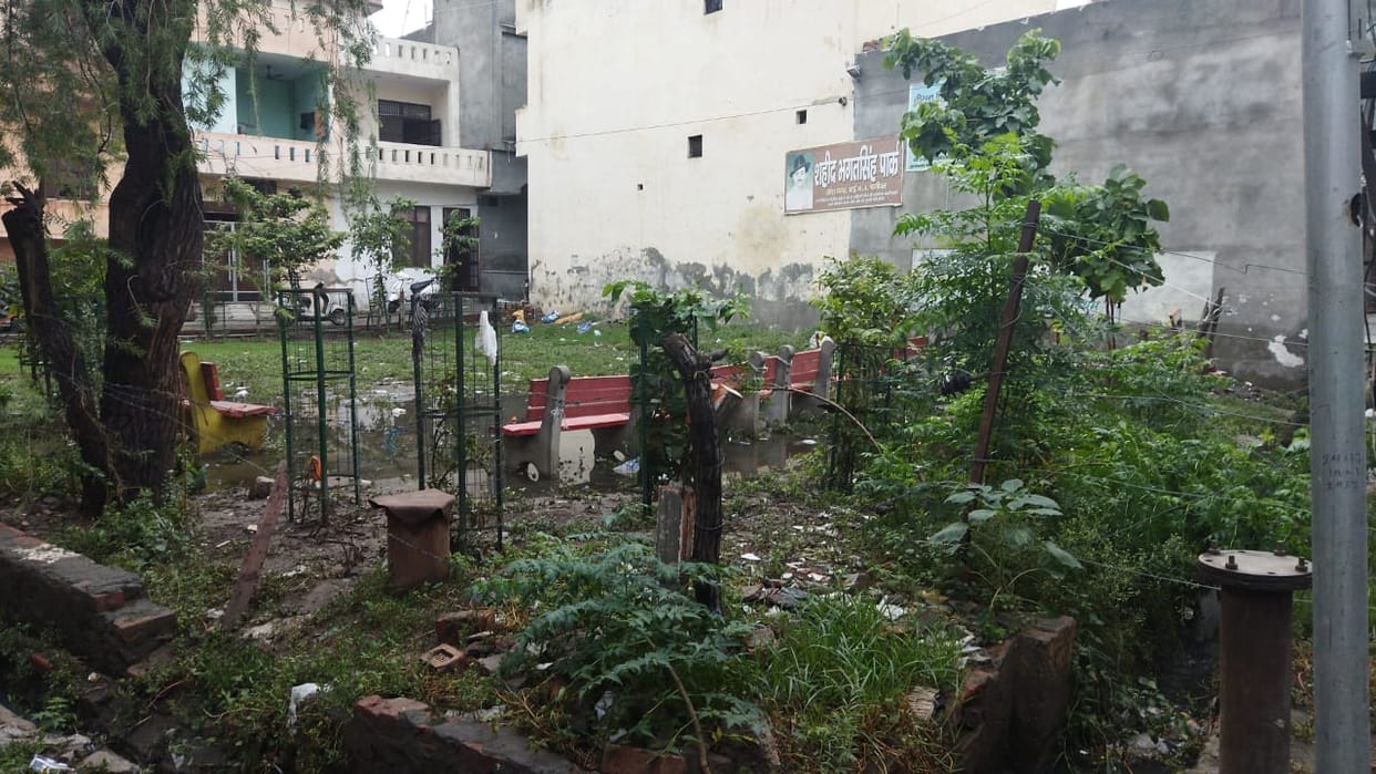 Piles of dirt found in the park, allegation of rigging