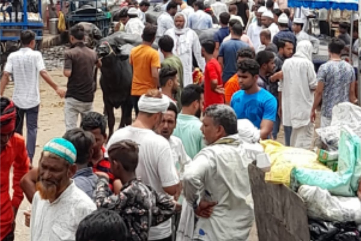 Eid ul adha : Record buyers reached the market, customers got the monsoon offer benefits