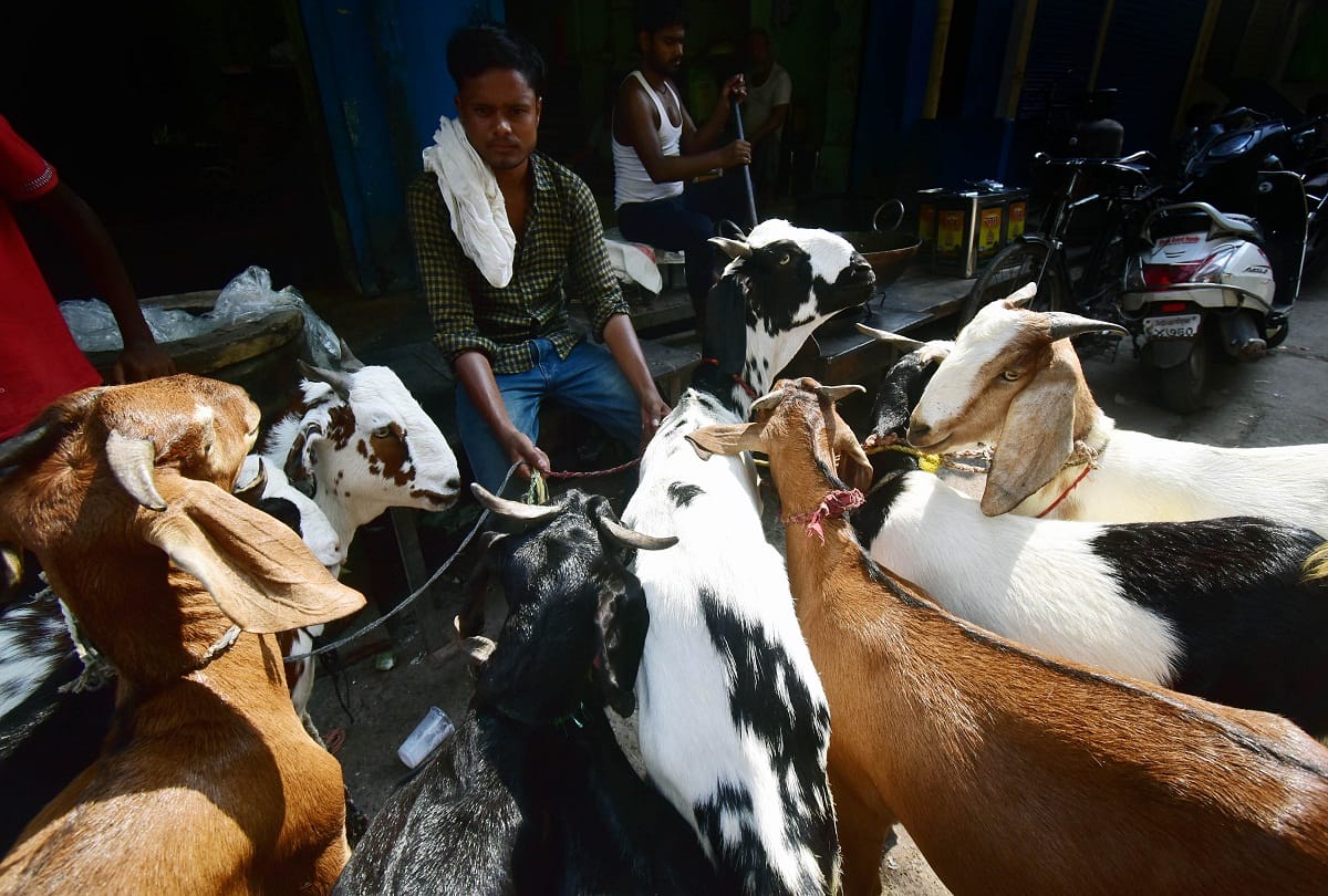 Eid-ul-Adha: Price of goats doubled, Sultan sold for 1.25 lakh