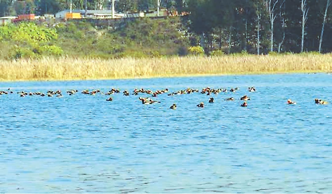 42 wetland areas of different states including Uttarakhand will be protected