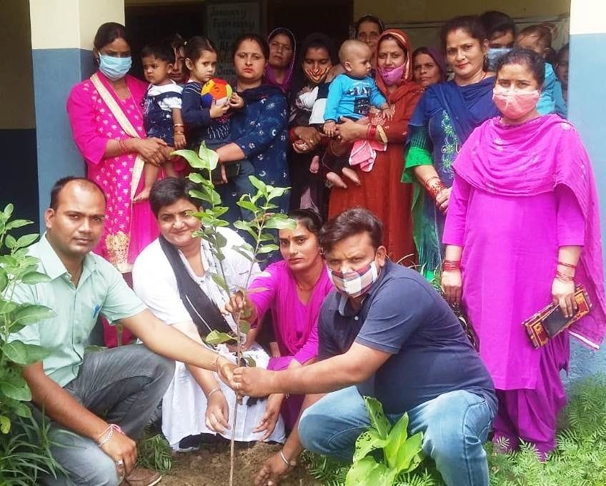 A buta was planted in the name of a daughter in Basoli and Thanakalan