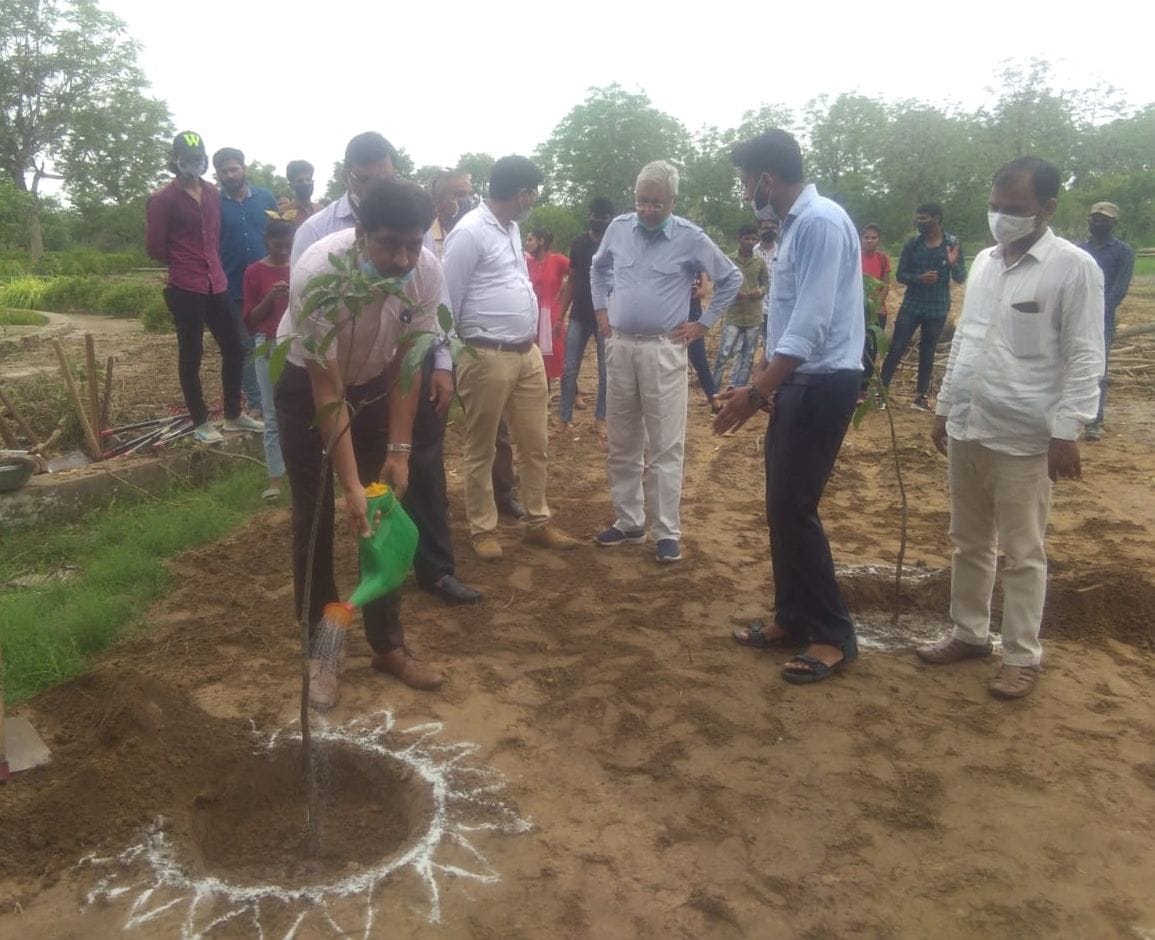 Vice Chancellor and Registrar planted saplings in the university campus