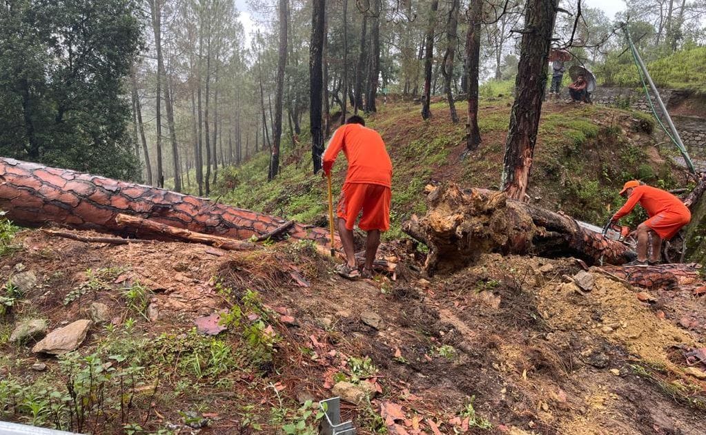 seven roads closed after heavy rainfall in almora