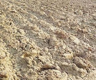 With the onset of monsoon, farmers' hopes were shattered