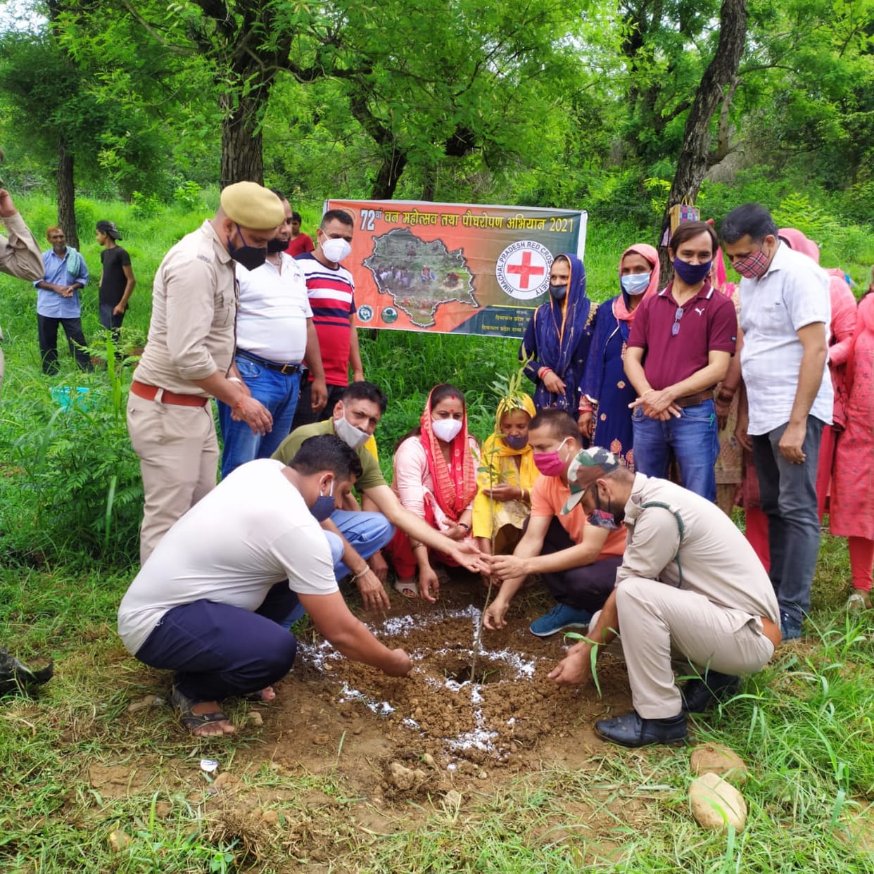 SDM planted saplings in Amlahar