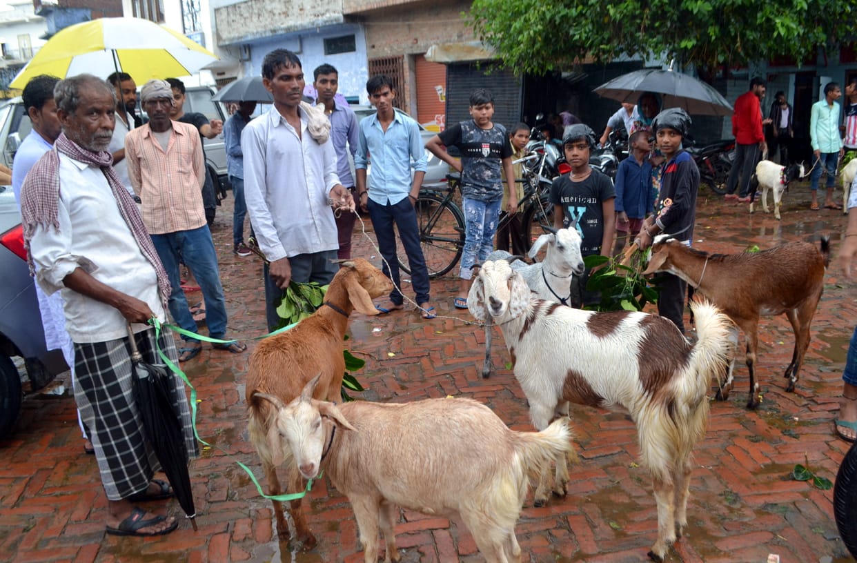Bakrid