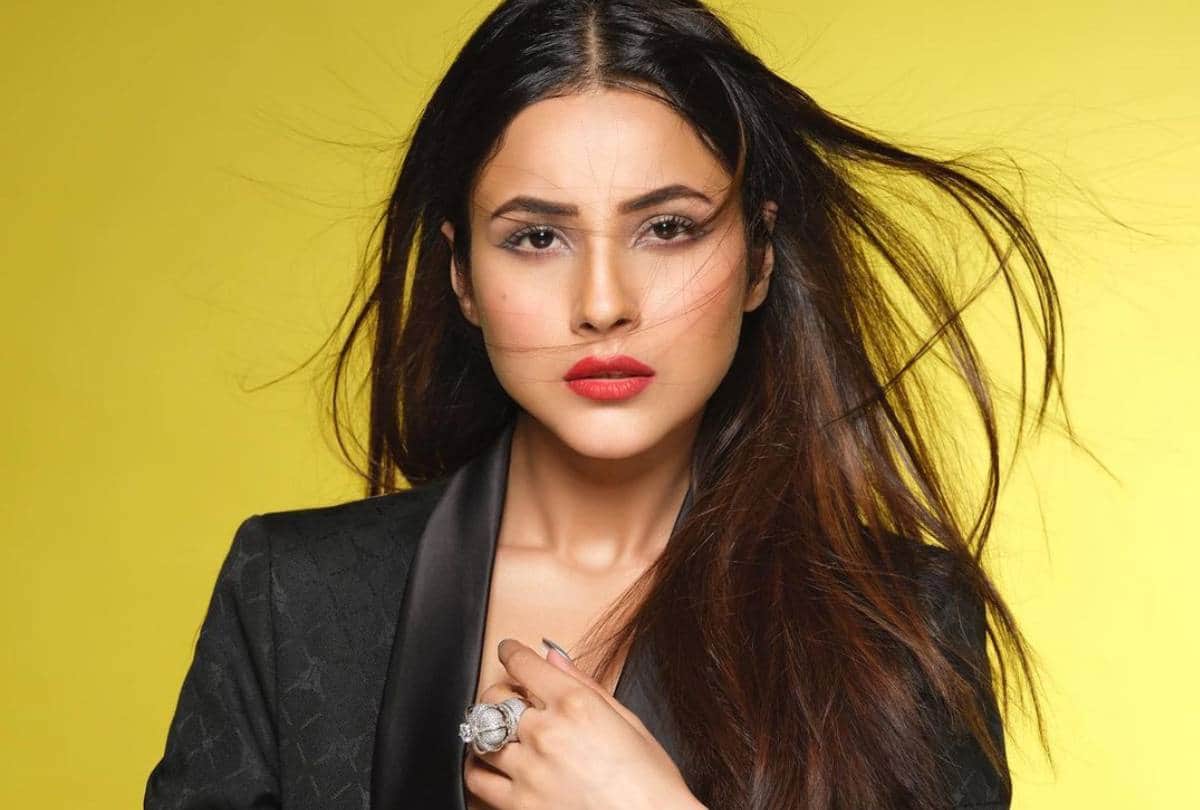 Fashion tips Shehnaaz Gill latest photo shoot pictures photos goes viral