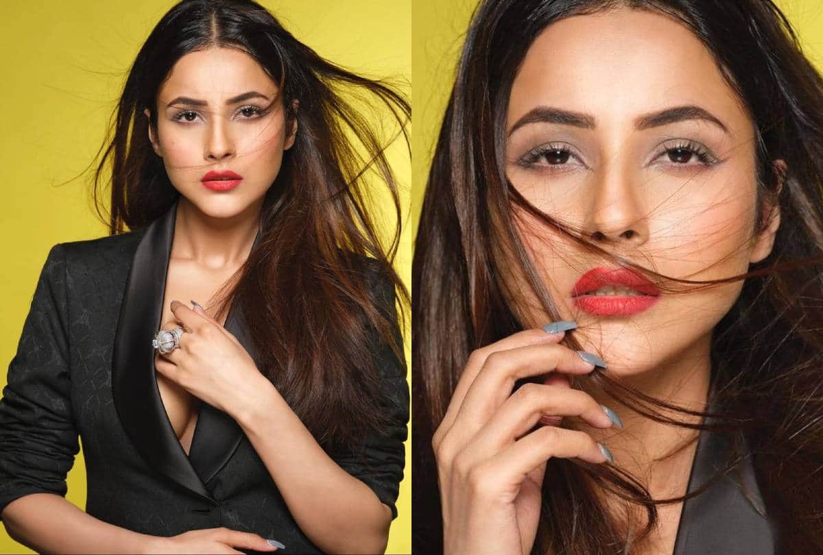 Fashion tips Shehnaaz Gill latest photo shoot pictures photos goes viral