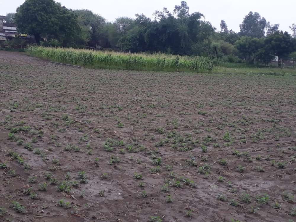 rain,civic,mahoba news