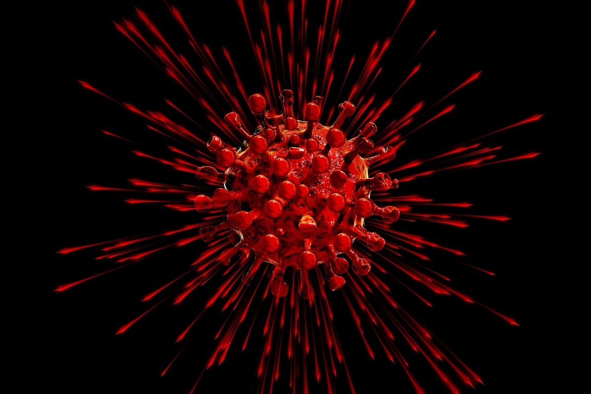 difference between coronavirus and Nipah virus symptoms treatment and vaccine
