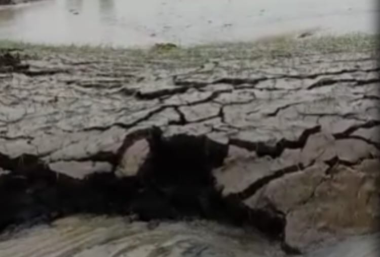 Soil raised five feet due to rain water in Karnal of Haryana