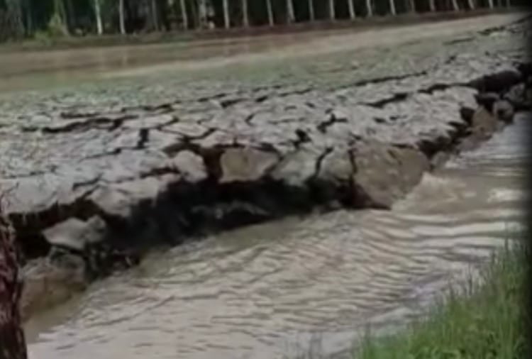 Soil raised five feet due to rain water in Karnal of Haryana