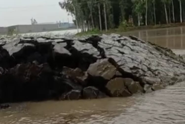 Soil raised five feet due to rain water in Karnal of Haryana