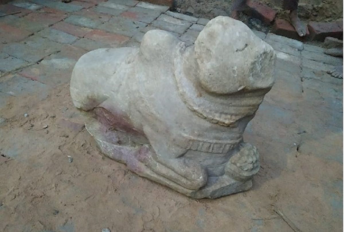 Ancient statue of Nandi found during land excavation in sonebhadra many relics of 6th 7th century have already  found earlier