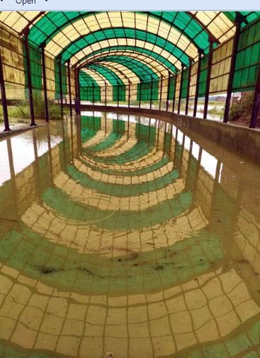 Hathras: Purdilnagar-Jalesar road closed due to water filling underpass