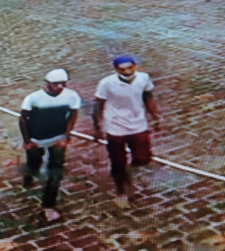 crime