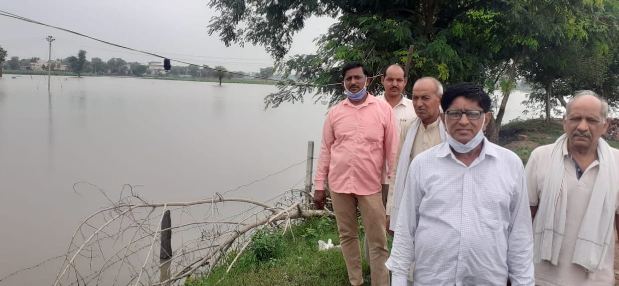 Five thousand acres of crops of 35 villages of Jatusana, Bawal and Khol blocks may get spoiled.