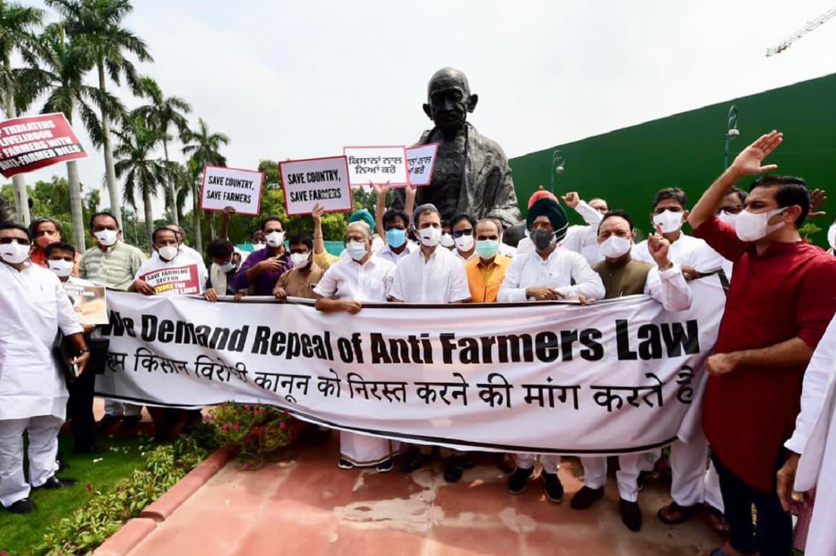 Rahul gandhi and congress mps protest inside the Parliament complex over farm laws