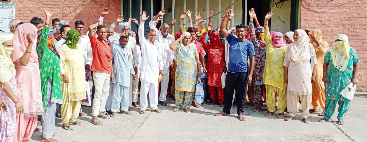 Allegations of distributing substandard wheat