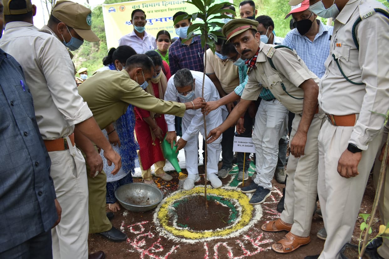 Forest department will plant four thousand saplings in 10 hectares