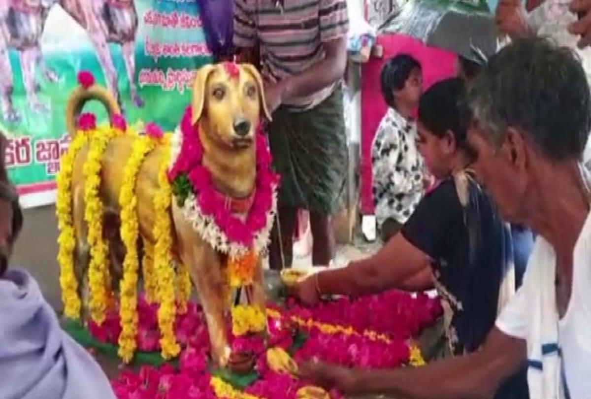 Bronze statue of dog erected on its fifth death anniversary in Andhra pradesh