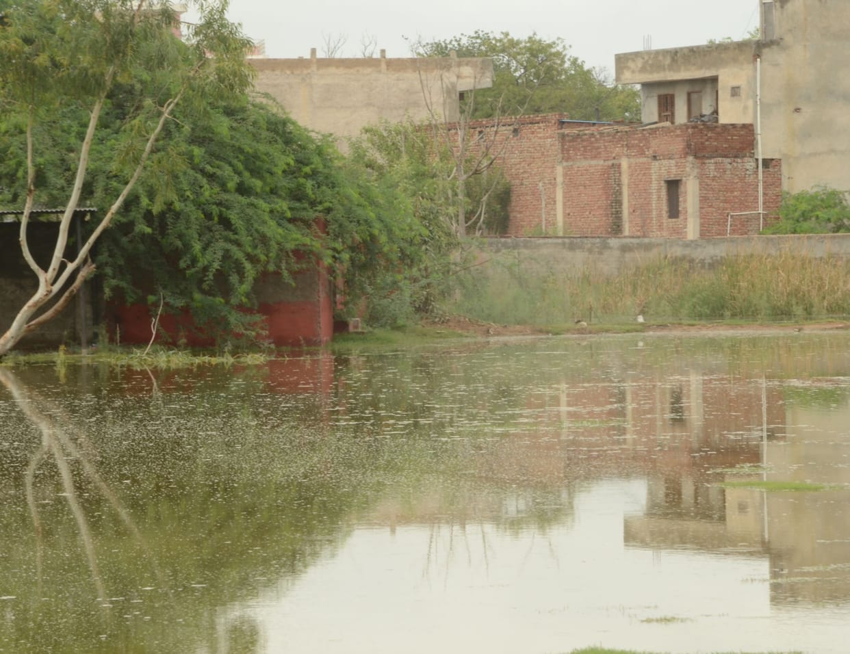 The pond became the ground of the state school, the toilets were also submerged...