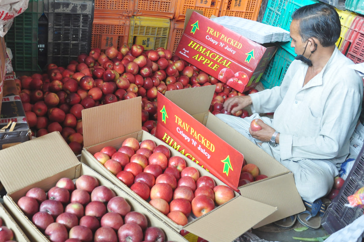 Gala apple prices fell by Rs 42 in vegetable markets