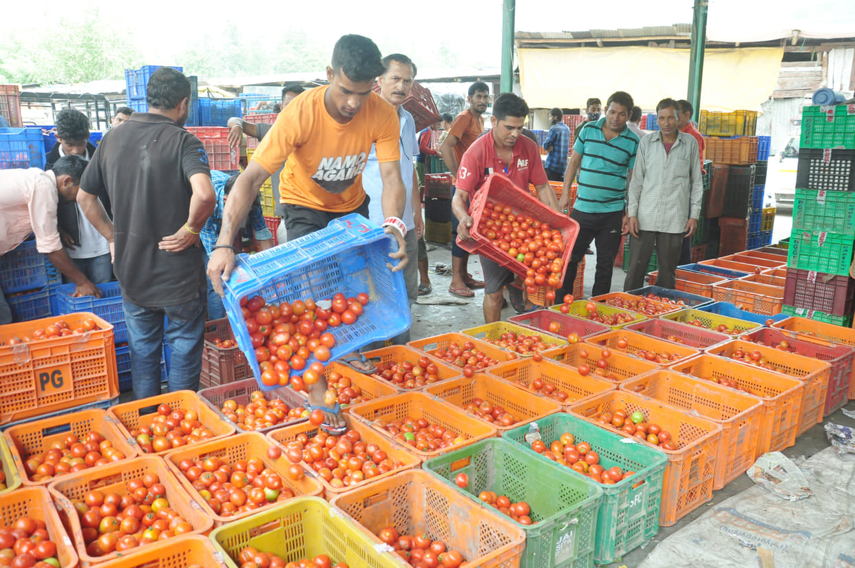 Huge jump in tomato prices