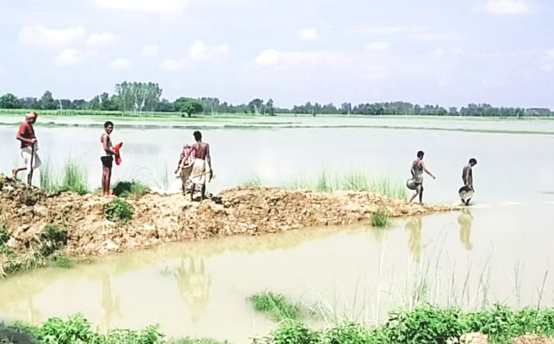 Crop of one thousand bighas destroyed, farmers' demonstration