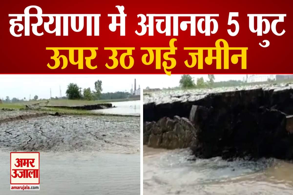 हरियाणा