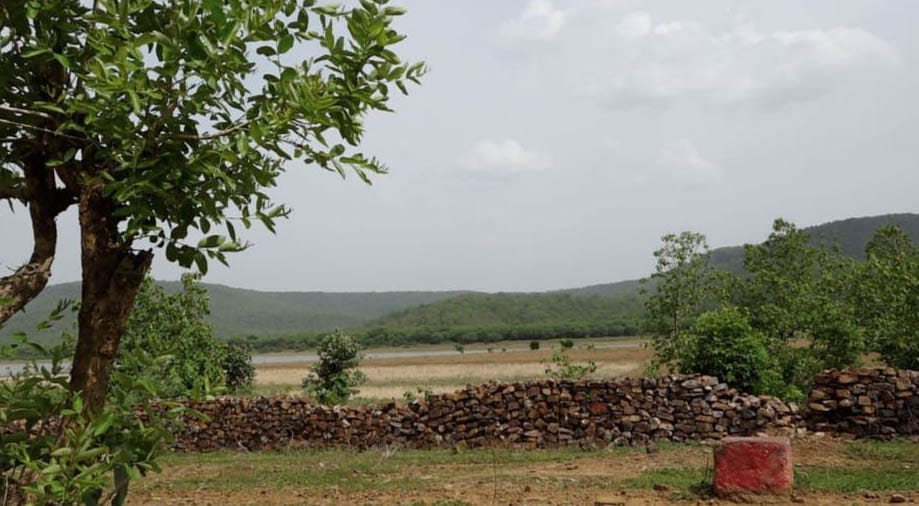 Ken-Betwa alliance... forest land has been told land