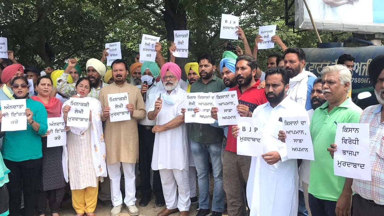 AAP' burnt the effigy of Union Minister of State Meenakshi Lekhi