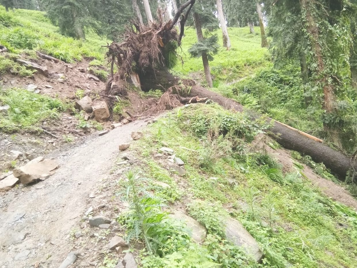 12 roads blocked due to landslides, fallen trees