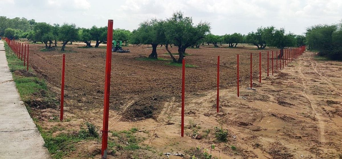 Oxygen Park will be built in 9 villages