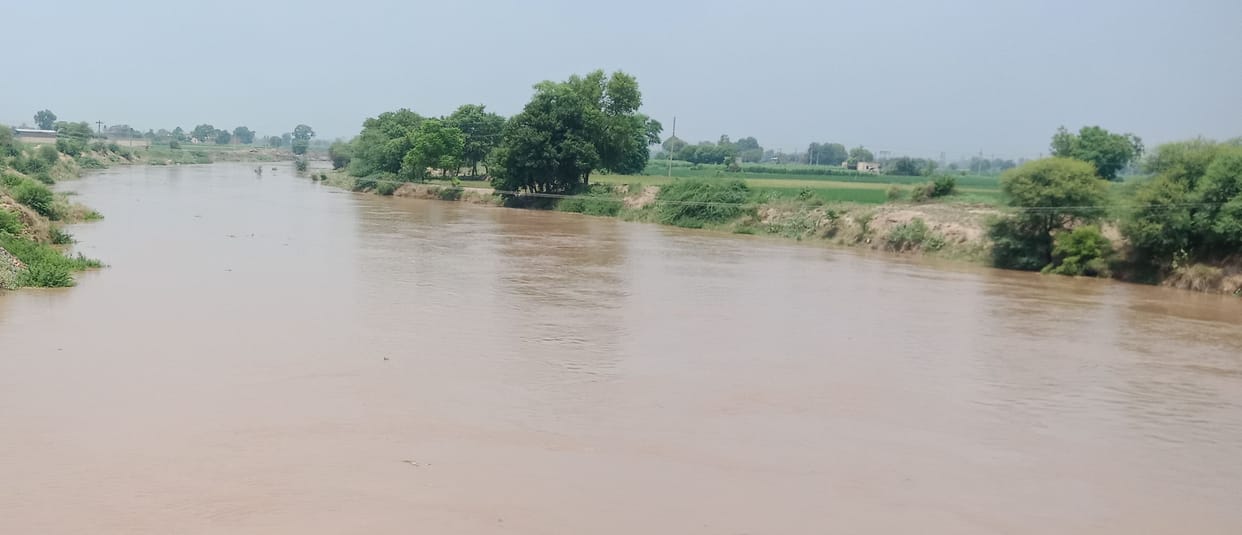 Ghaggar's water level rose by three feet in 72 hours