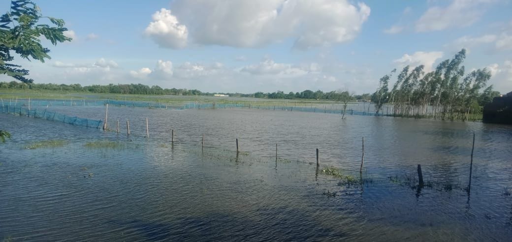 Flood in the crooked river, thousands of bighas of crops submerged