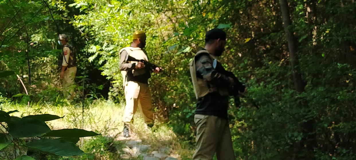 Searching operation