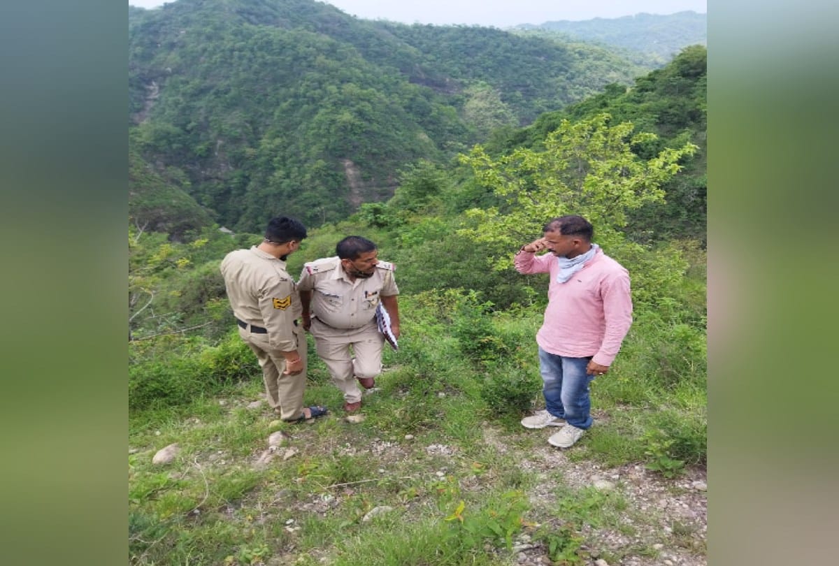 Goshala sanchalak tied eight cattle in the forest, five died due to hunger and thirst