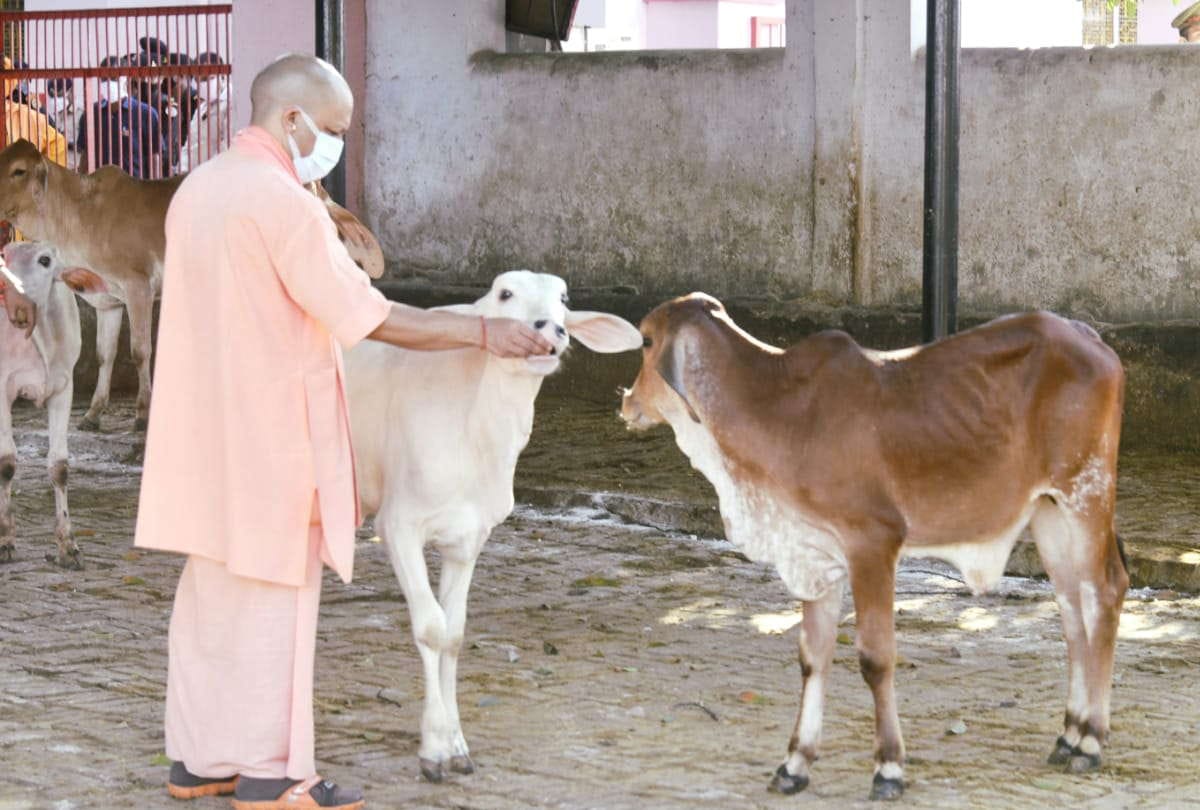 CM Yogi adityanath listened to complaints of people in Janta Darbar at Gorakhnath temple