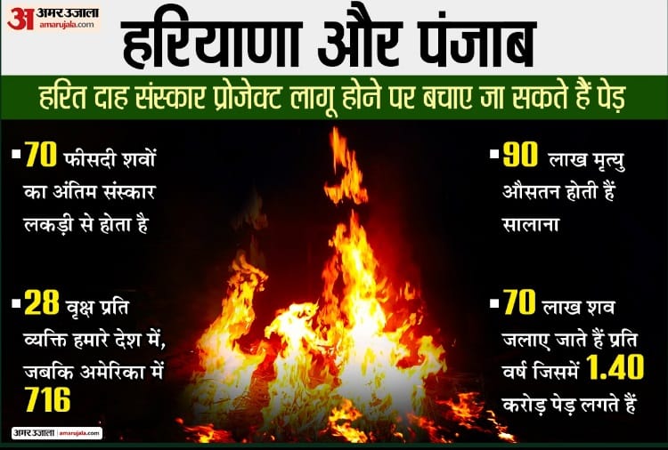 Thousands of trees are saved in Haryana and Punjab from green funeral