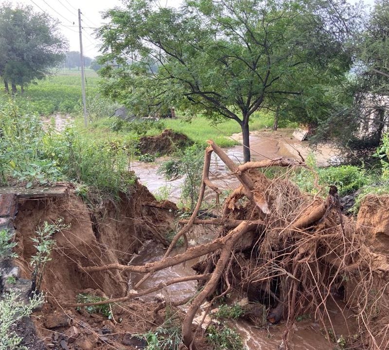 12 feet of Rampura Minor broken due to leakage, crops submerged