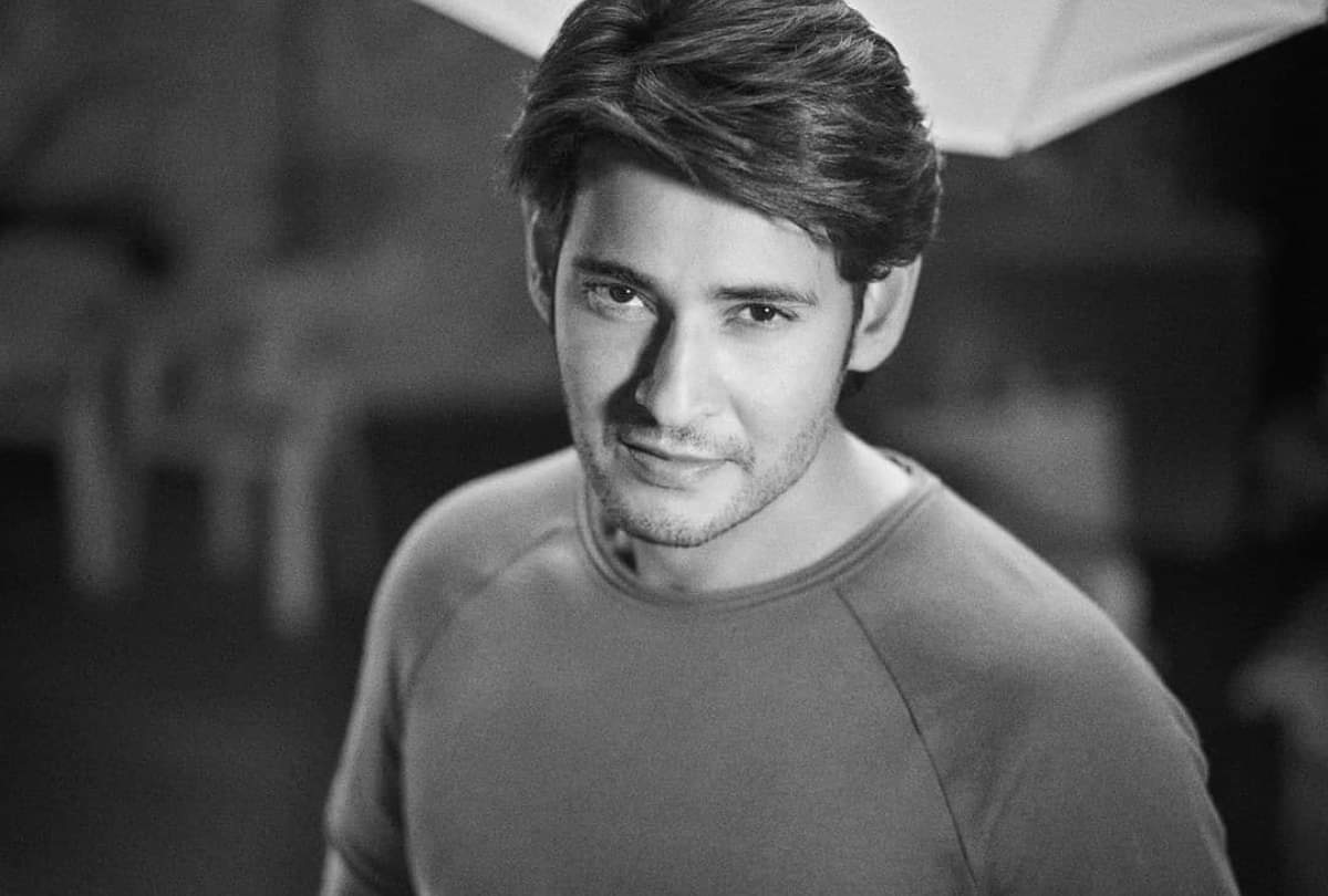 Filmmakers approached mahesh babu before Ranbir Kapoor for the film Animal