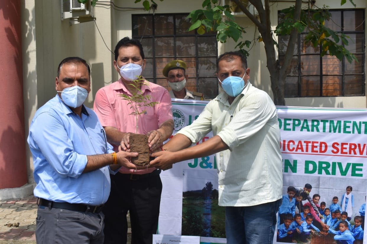 Plantation drive