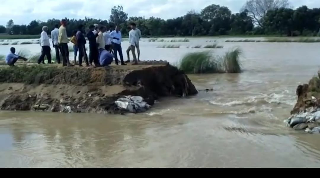 Canal cut, crops of two villages submerged