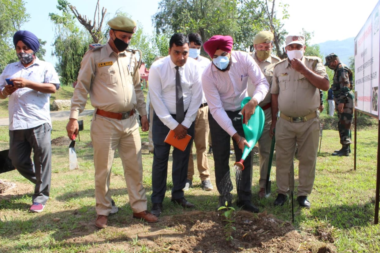Plantation drive