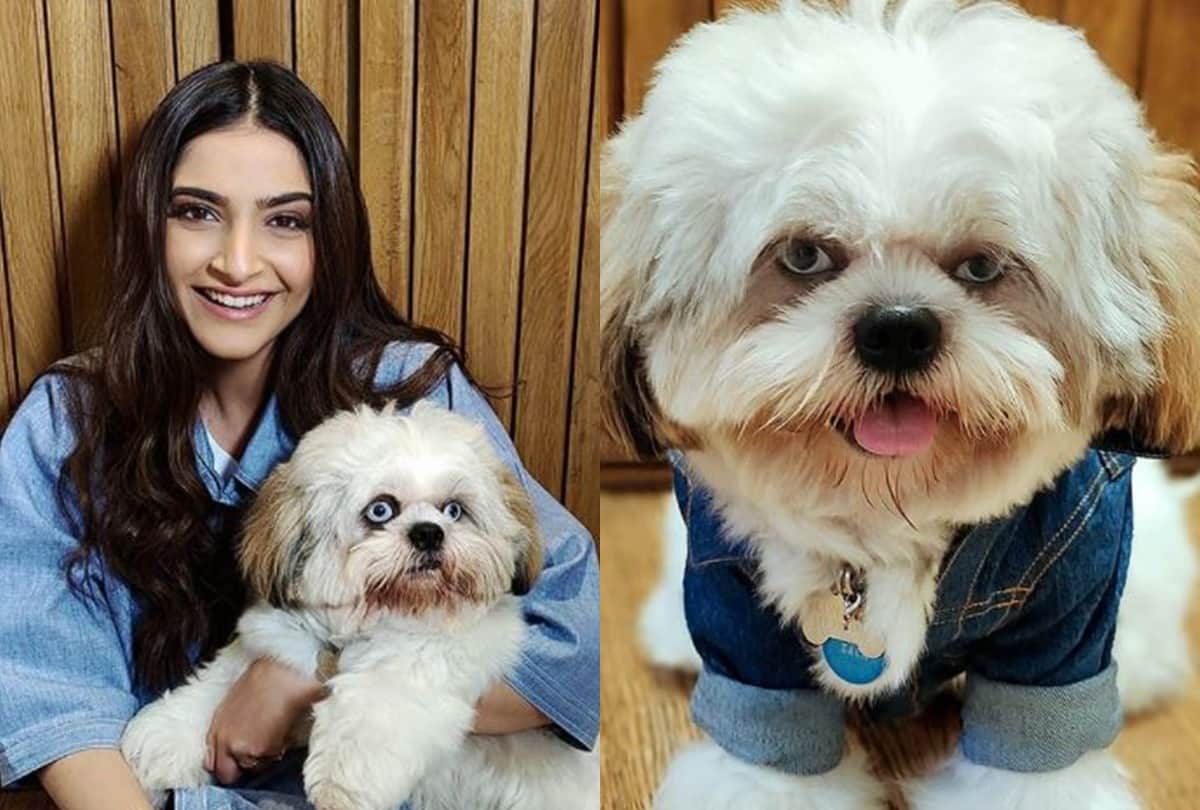 Sonam kapoor share photos of her new dog says meet the newest member of kapoor family