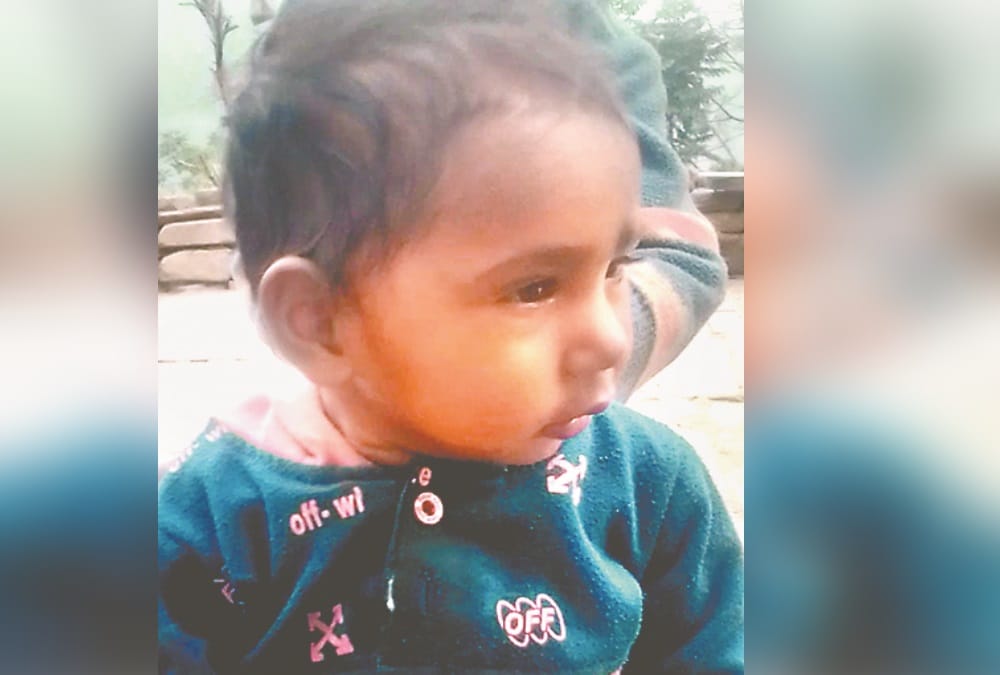 Uttarakhand News: Leopard killed one and half year old girl in Rudraprayag photos