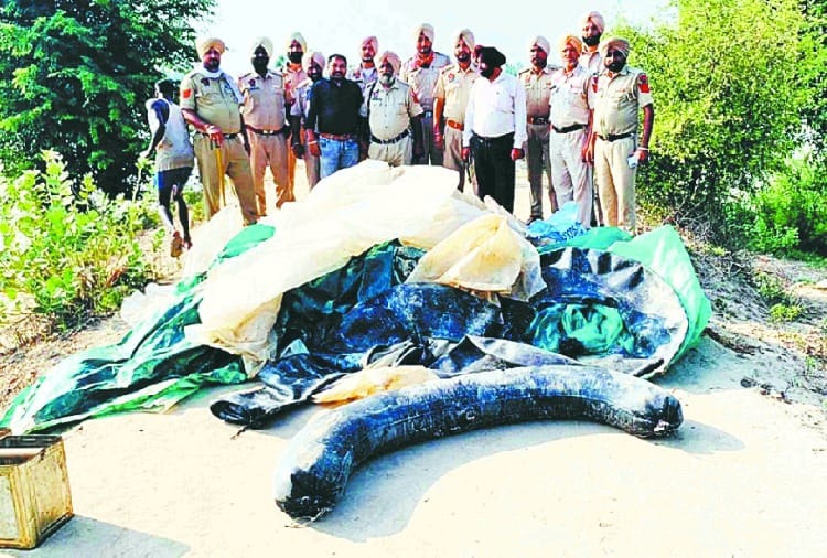 Police recovered liquor in large quantity in Firozpur of Punjab